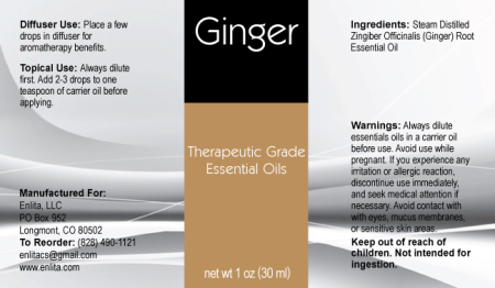 Ginger Essential Oil 30ml